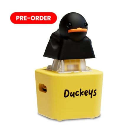 Fidget Toy that Quacks!