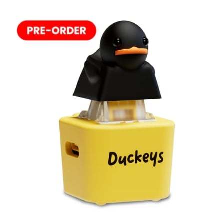 Fidget Toy that Quacks!