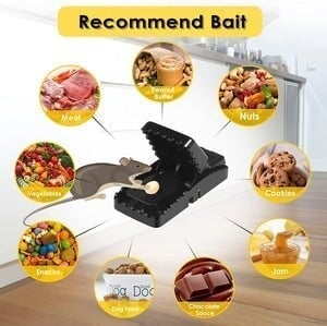 Highly Sensitive Reusable Mouse Trap🎉6 Pcs🎉-POIULTD