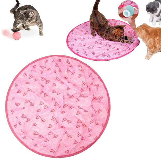 🎉Last Day 49% OFF😍✨2 in 1 Simulated Interactive hunting cat toy-POIULTD