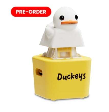 Fidget Toy that Quacks!