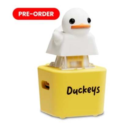 Fidget Toy that Quacks!