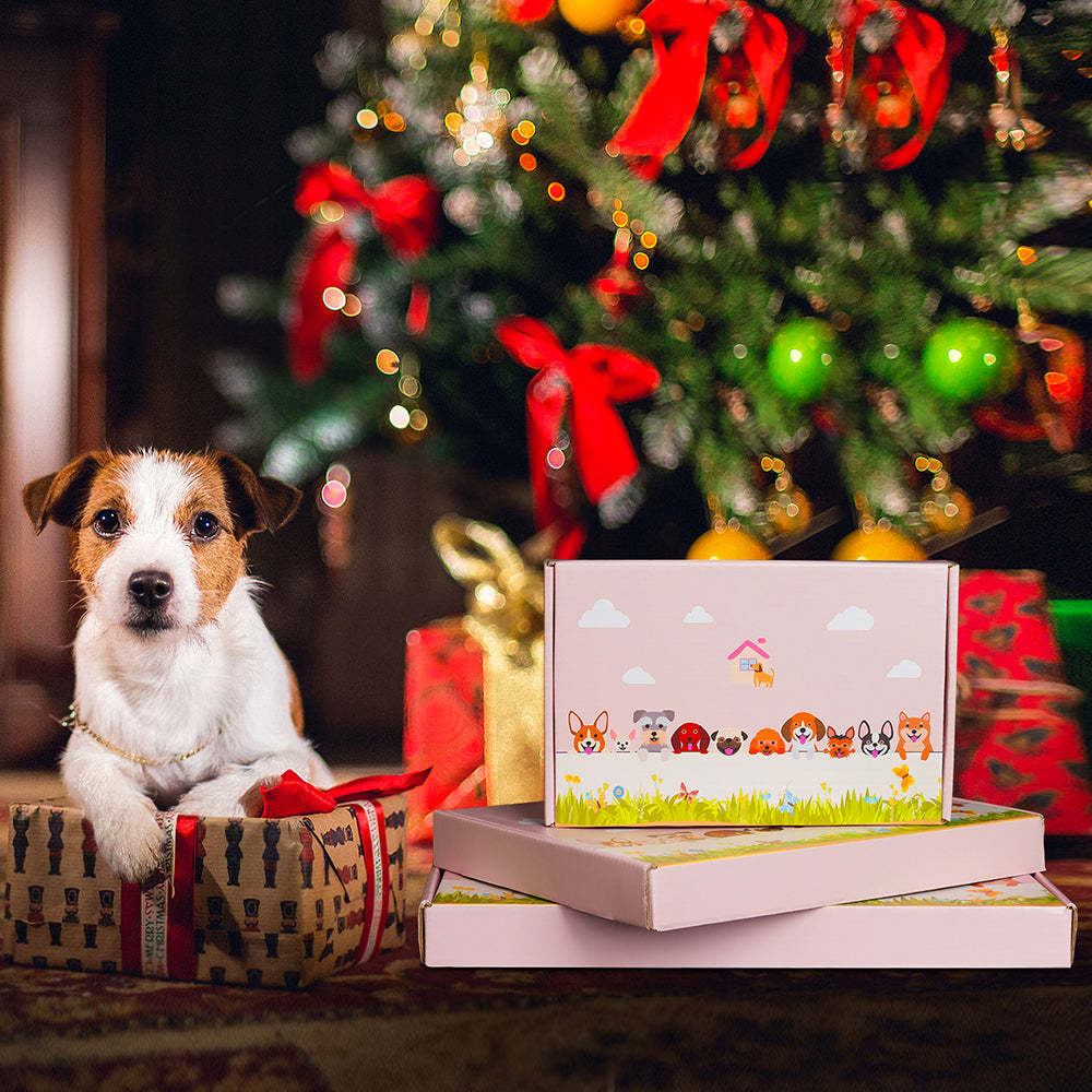 Saint-Bernard Planter-POIULTD