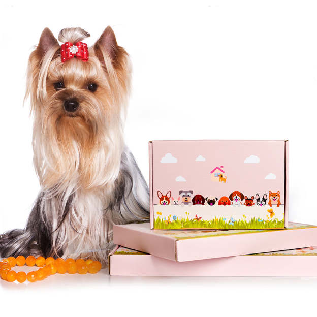 English Shepherd Dog Planter-POIULTD