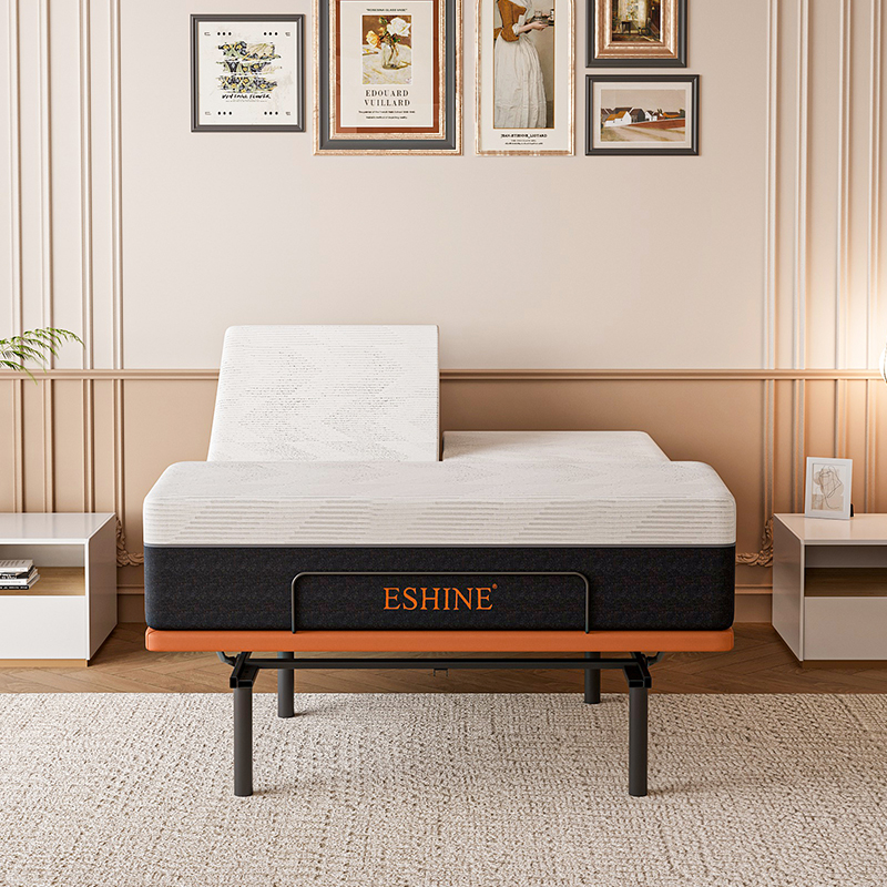 Split Queen Adjustable Bed Bundle 