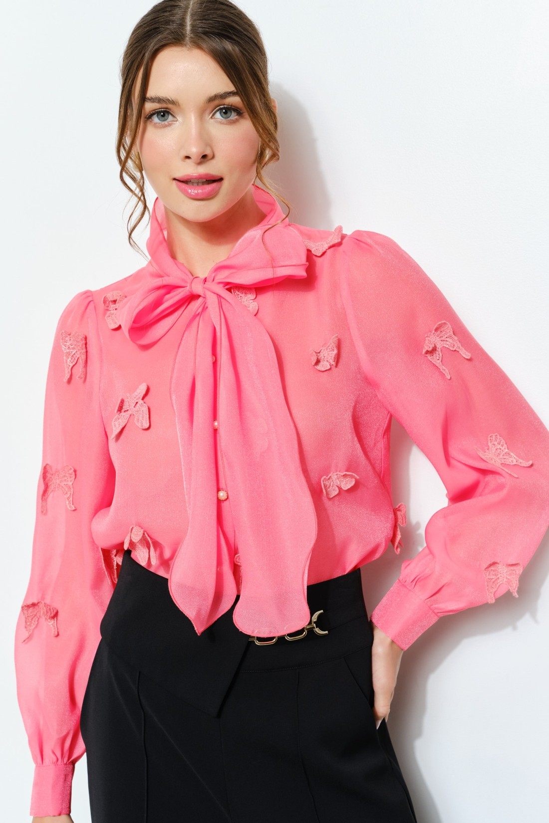 Sheer Embroidered Butterfly Bow Tie Blouse #23617579