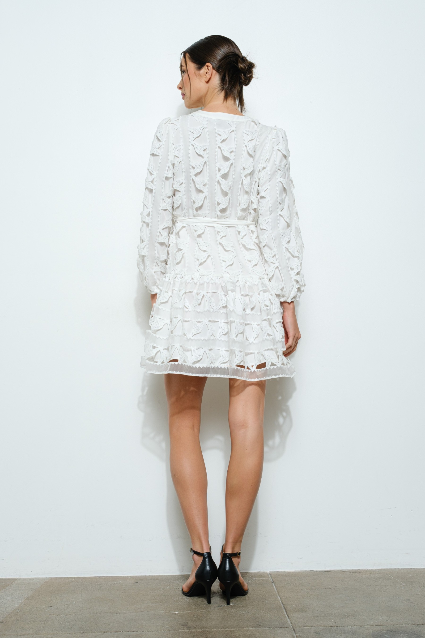 Embroidered Lace Puff Sleeve Mini Dress #23681974