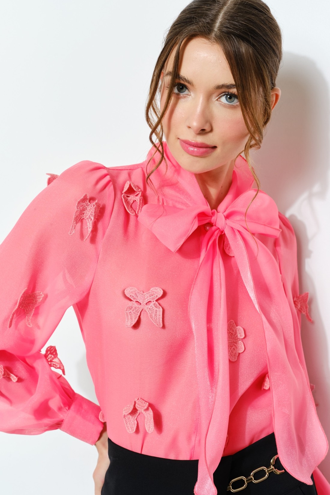 Sheer Embroidered Butterfly Bow Tie Blouse #23617579