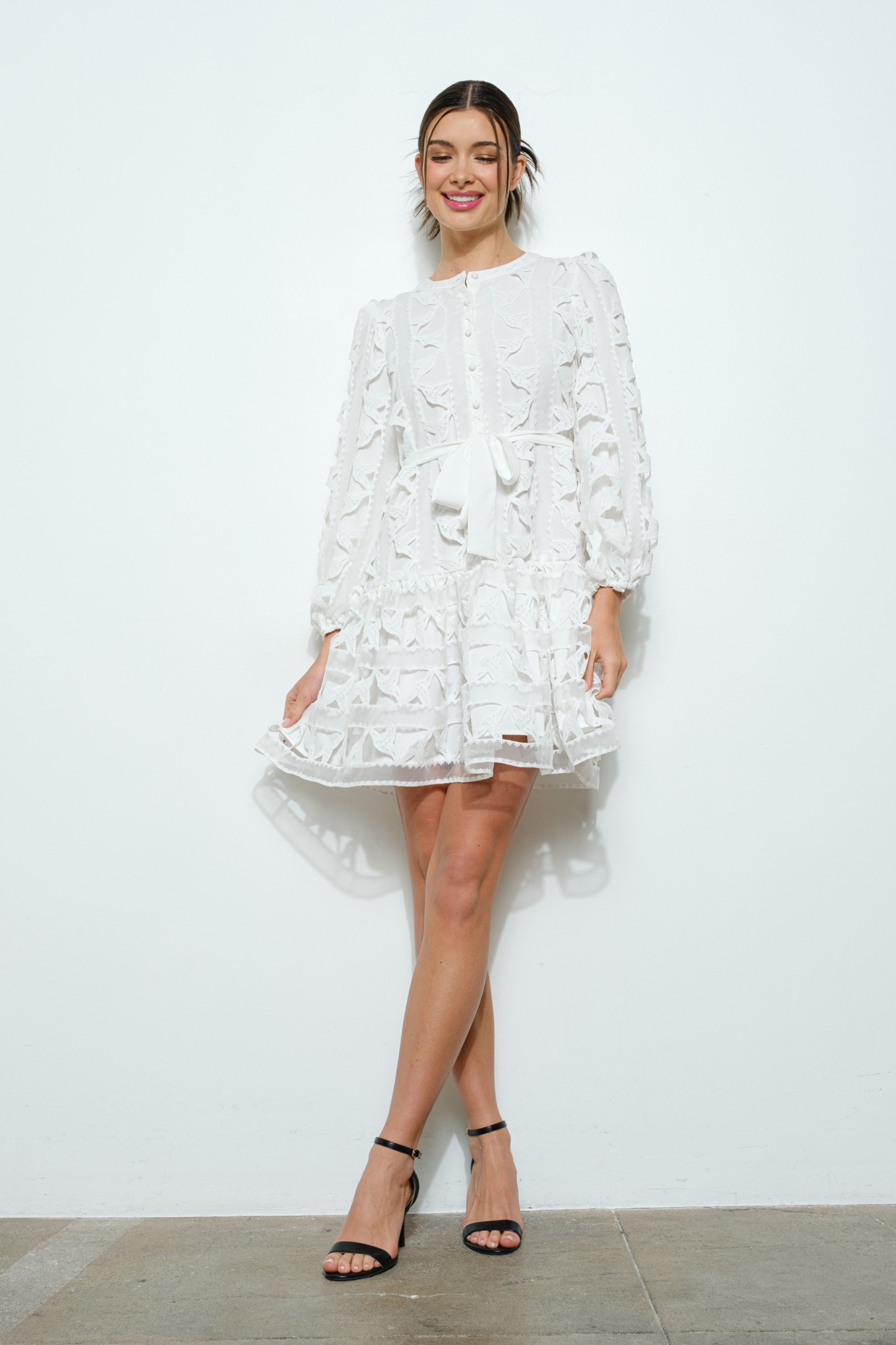 Embroidered Lace Puff Sleeve Mini Dress #23681974