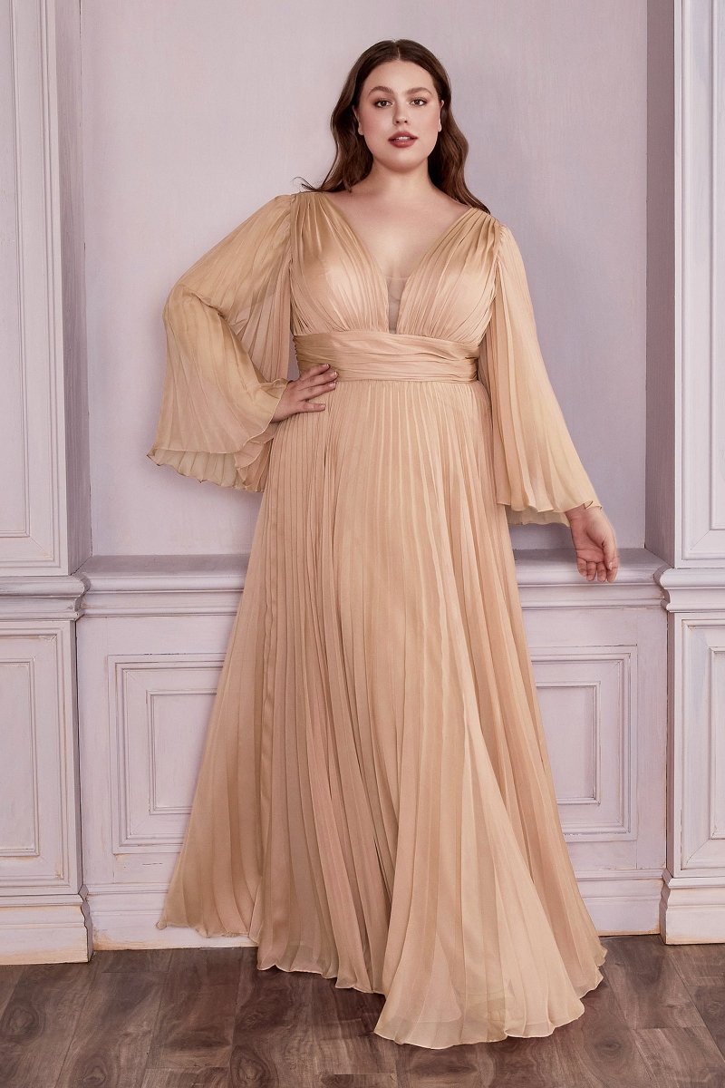 Elegant Deep V-Neck Long Sleeve Chiffon Plus Size Gown #CD242C