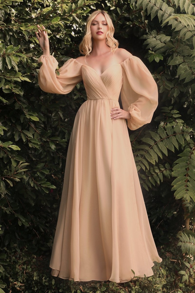 A-Line Sweetheart Pleated Long Sleeve Chiffon Gown #CD243