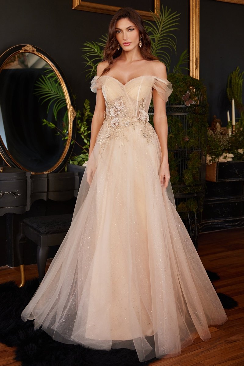 A-Line Off The Shoulder Pleated Layered Tulle Ball Gown #CD3395