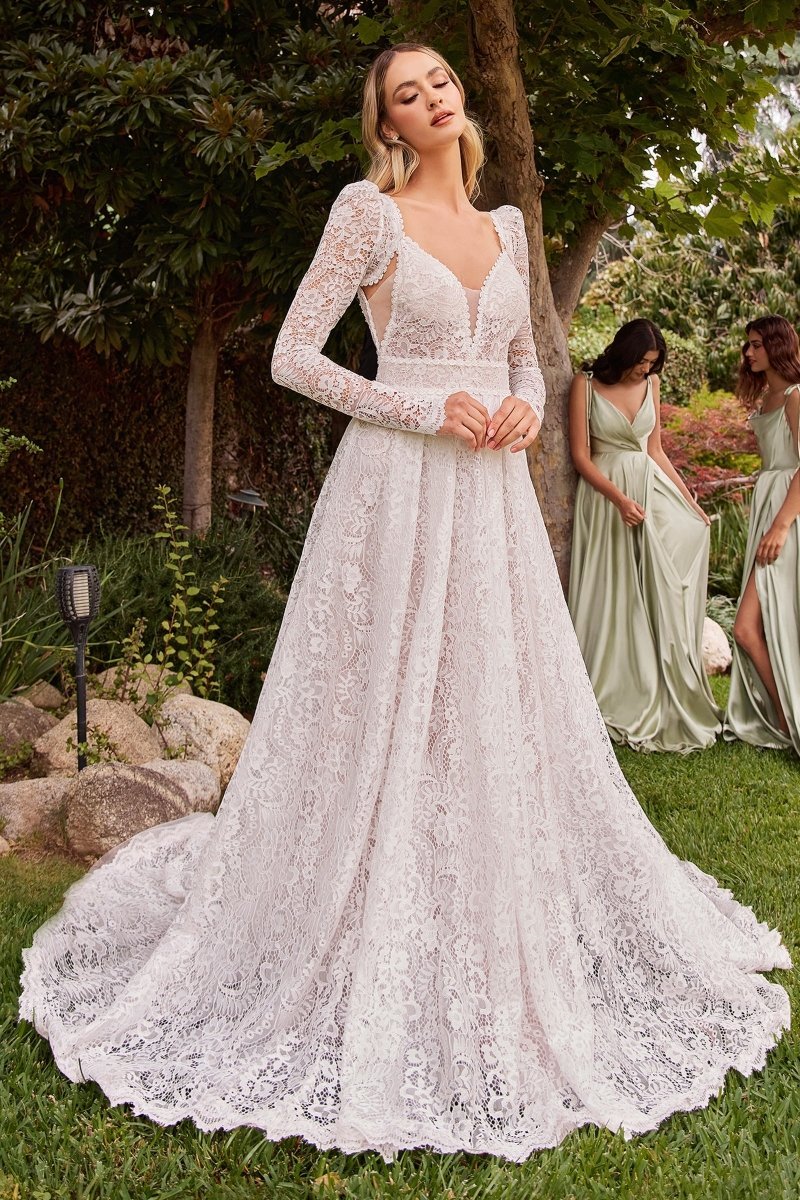 ​​​​​Stunning A-Line Deep V-Neck Lace Emovable Sleeves Bridal Gown #CD862W