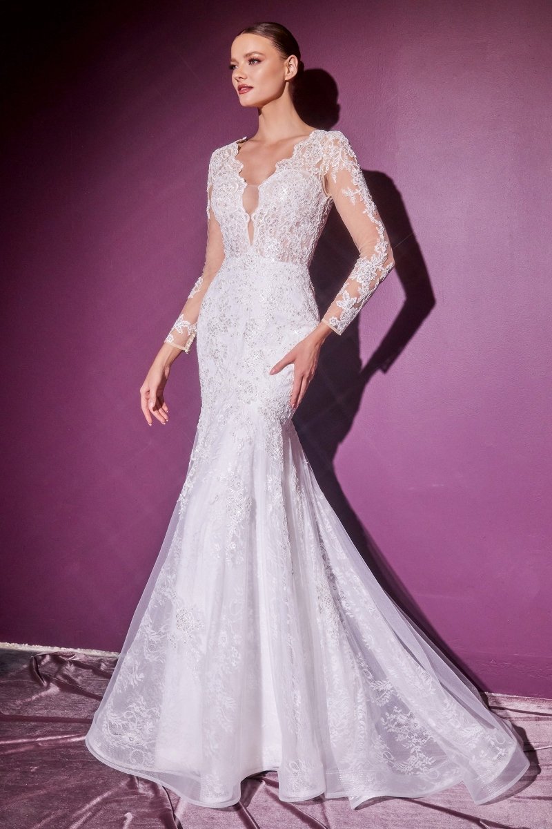 Layered Lace Illusion Long Sleeves Mermaid Bridal Gown #CD951W