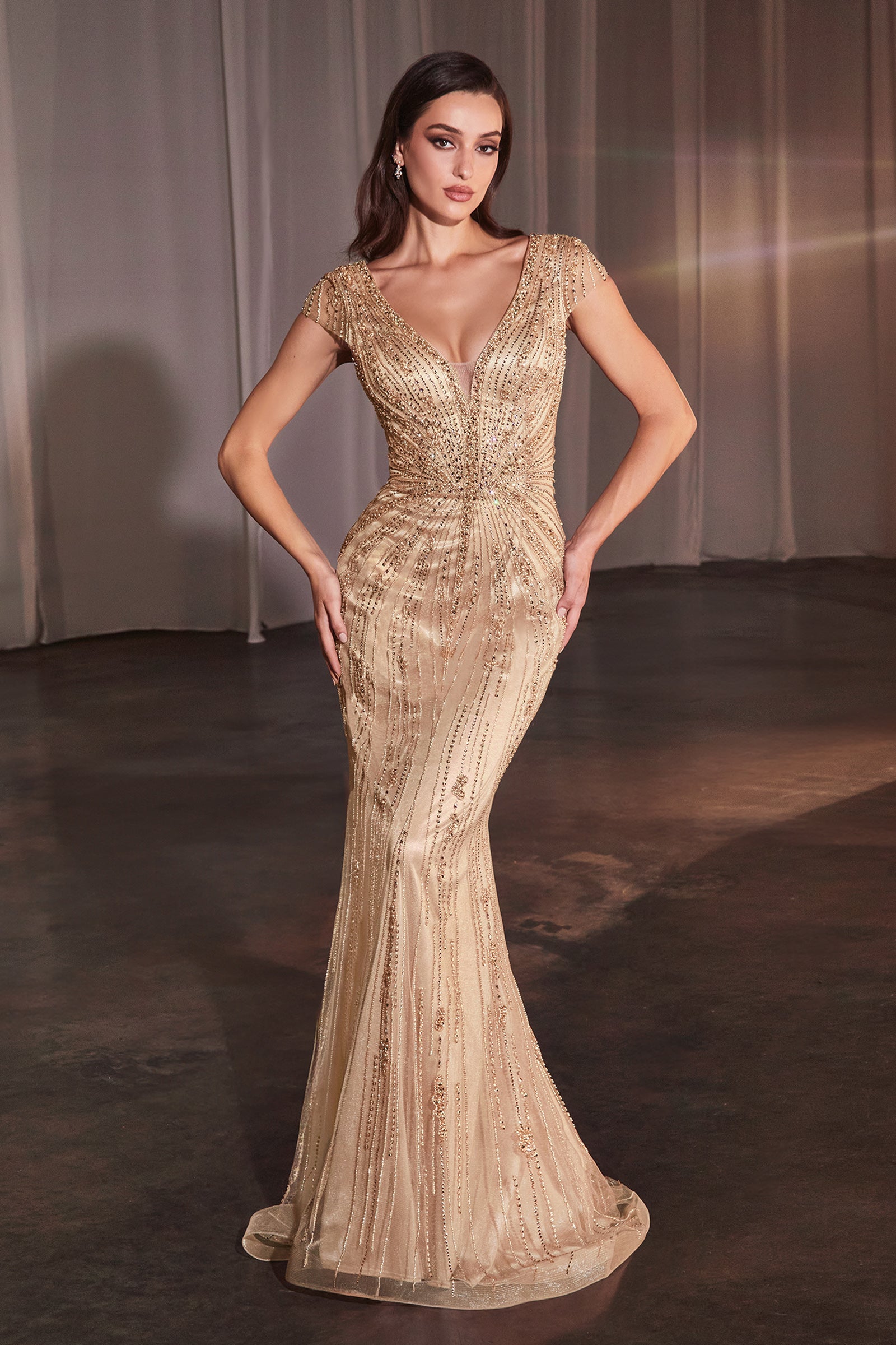​​​​​Stunning Fitted Fully Beaded Plunging V-Neck Gown #CZ0029
