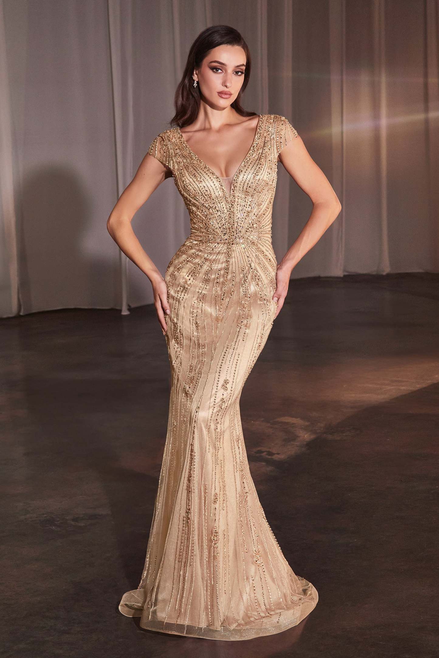 ​​​​​Stunning Fitted Fully Beaded Plunging V-Neck Gown #CZ0029