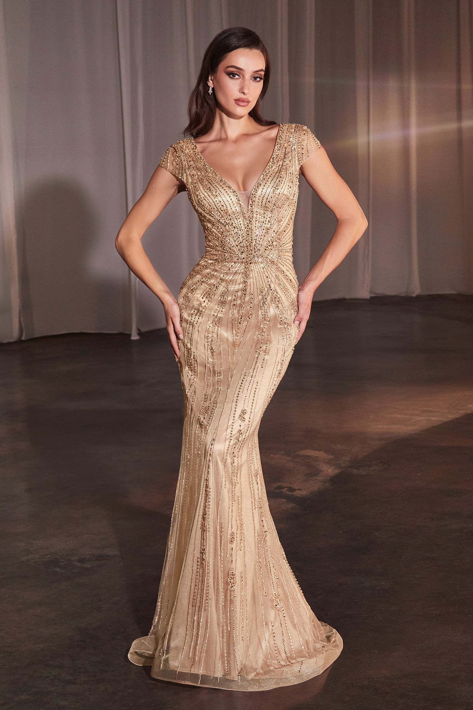 ​​​​​Stunning Fitted Fully Beaded Plunging V-Neck Gown #CZ0029