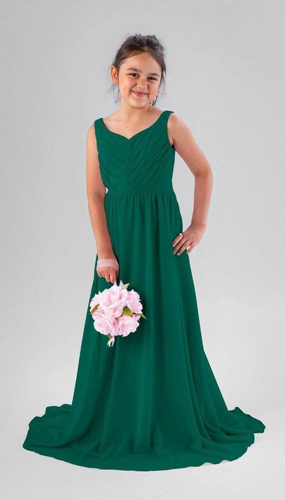 Saylor A-line V-neck Chiffon Pleated High V-back Junior Bridesmaid Dress