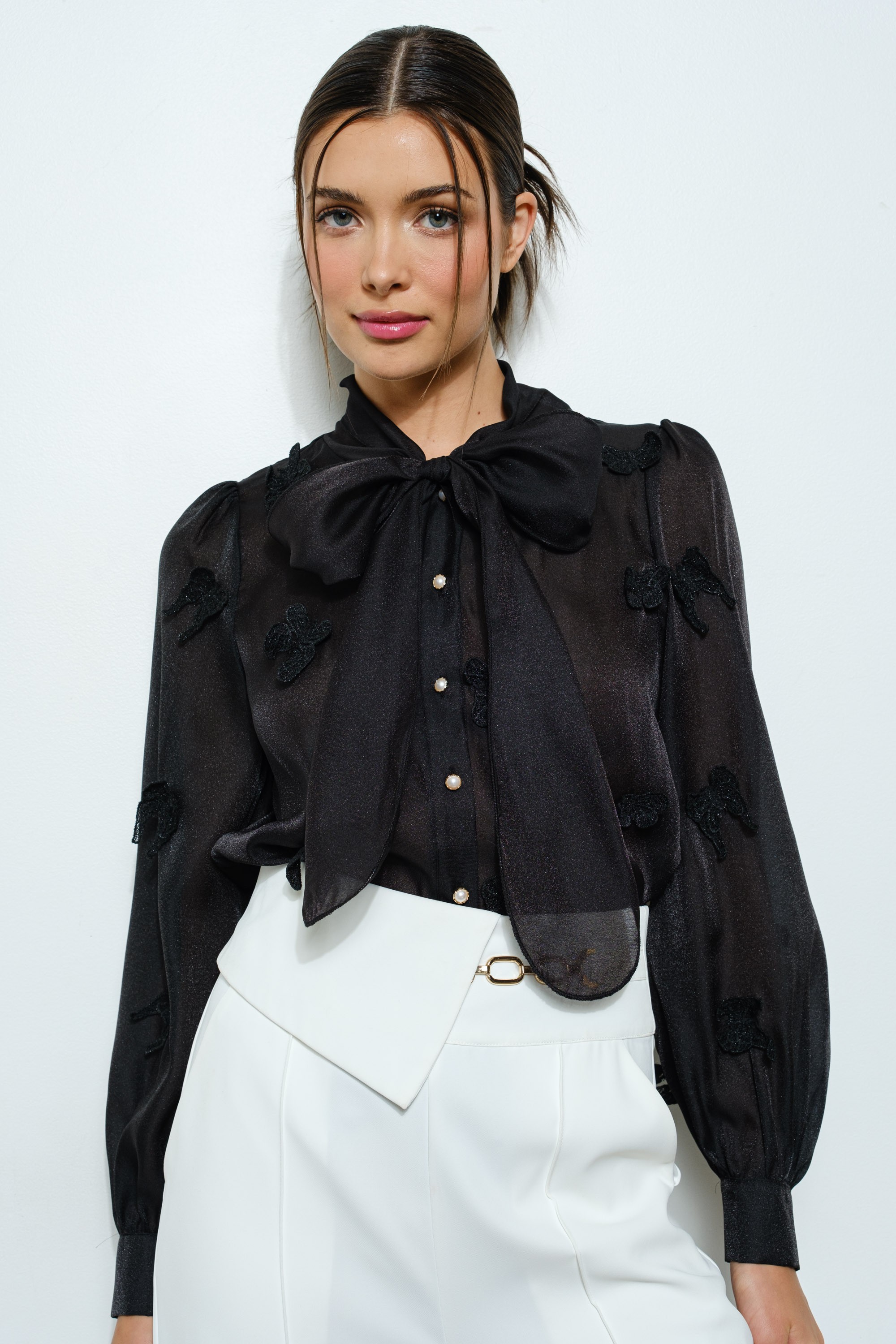 Sheer Embroidered Butterfly Bow Tie Blouse #23617579