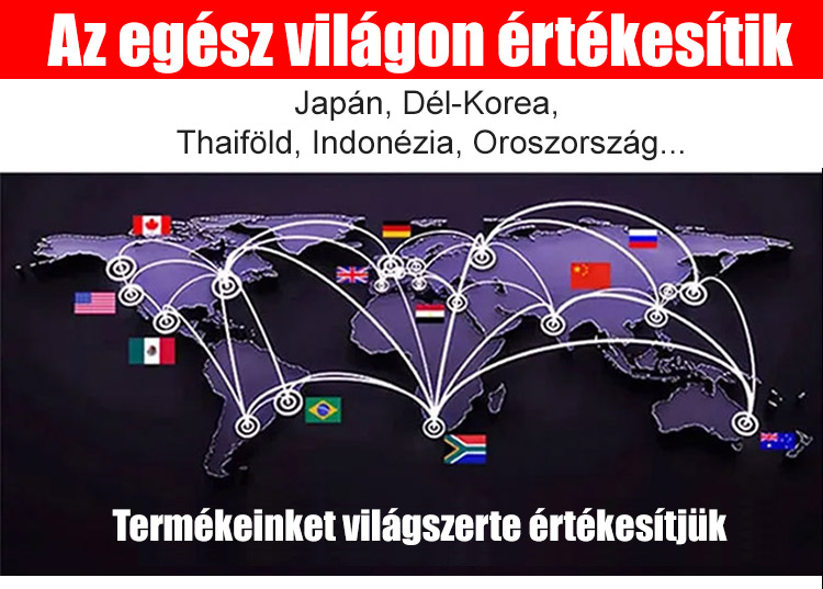 XYL_03.jpg