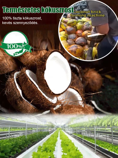 【Tíz évig nem igényel műtrágyázást】Kertészeti kókuszrost tápanyagföld —— 5 év kutatás és fejlesztés, bizonyítottan 10 évig tart, még a lusta is kertészeti szakértővé válhat!