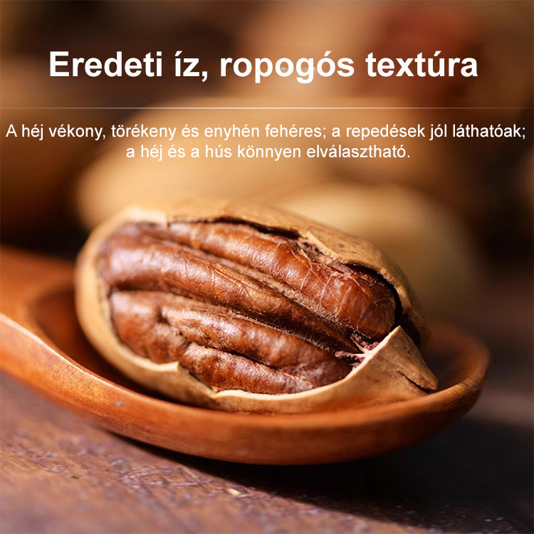 Amerikai import pekándió csemete