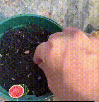 2-92f29b0144ad5081e432171eaa285538.gif