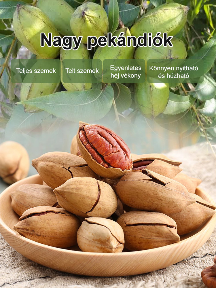 Importált pekándió magok az USA-ból, professzionálisan termesztve, garantáltan magas túlélési arány.