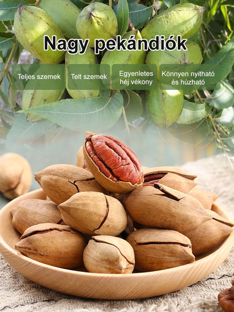Importált pekándió magok az USA-ból, professzionálisan termesztve, garantáltan magas túlélési arány.