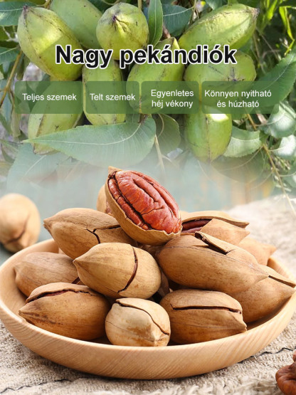 Importált pekándió magok az USA-ból, professzionálisan termesztve, garantáltan magas túlélési arány.
