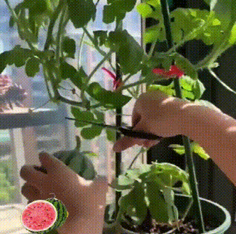 6-61f6702703cb2d2dcdbb93c19068e48a.gif