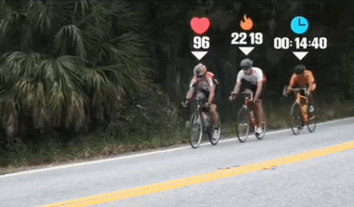 1_031.gif