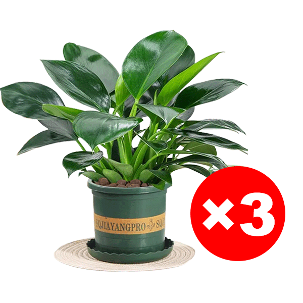 Nach Bestellmenge bestellen