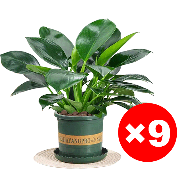 Nach Bestellmenge bestellen