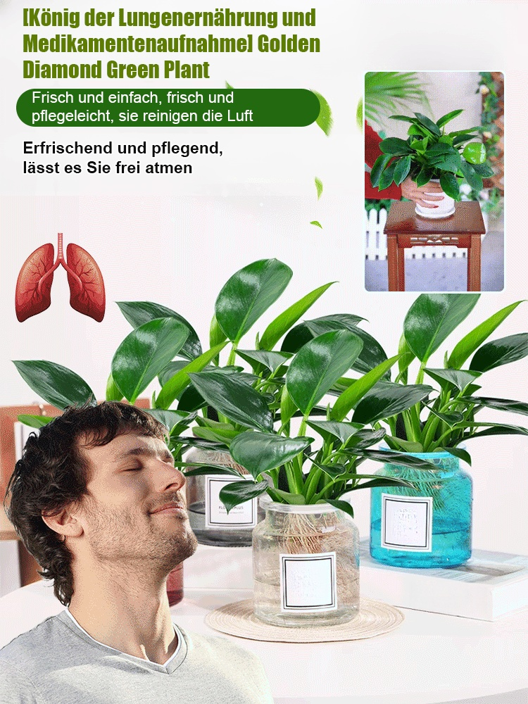 Nach Bestellmenge bestellen