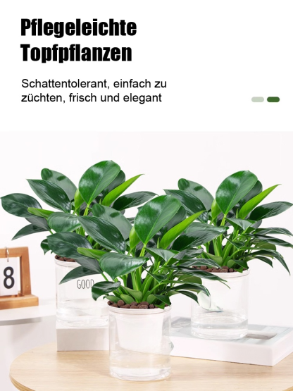 Nach Bestellmenge bestellen