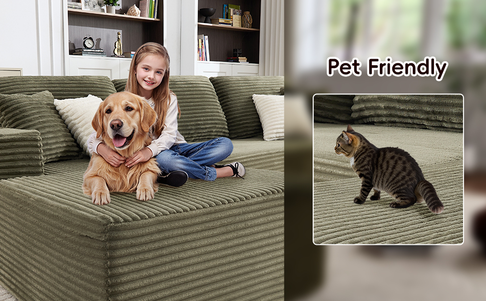 Couches for Living Room