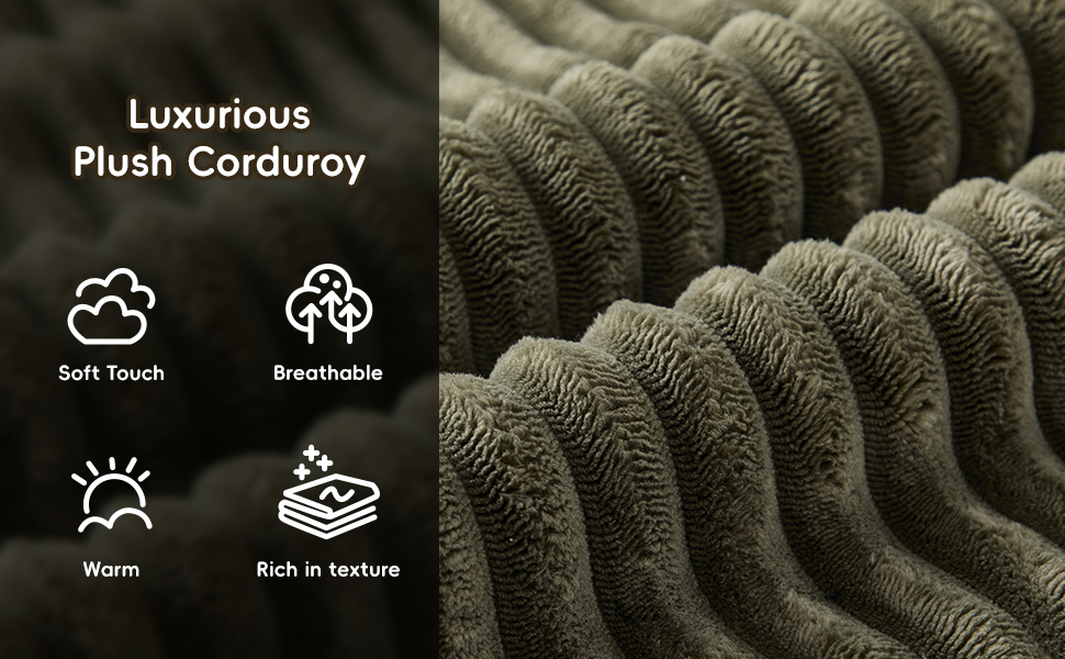 Couches for Living Room