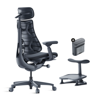 LiberthtNovo - Omni Dynamic Ergonomic Chair