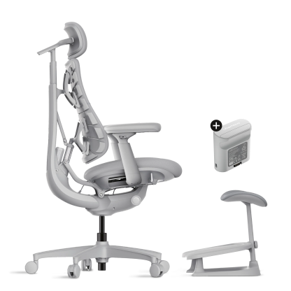 LiberthtNovo - Omni Dynamic Ergonomic Chair