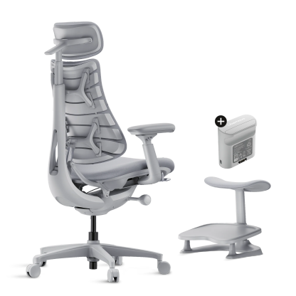 LiberthtNovo - Omni Dynamic Ergonomic Chair