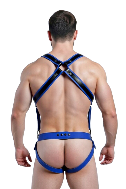 Mysteryglove Men's Sexy Blue PU Leather Harness and Backless Thong