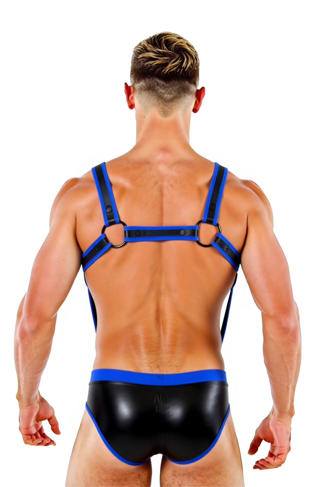 Mysteryglove Two-Tone Strappy Harness and Brief Set – Seductive Men’s Nightwea