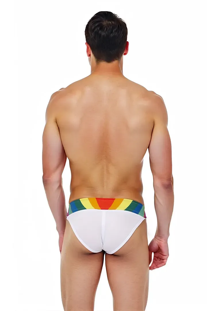 Mysteryglove Minimalist Pride Swim Briefs