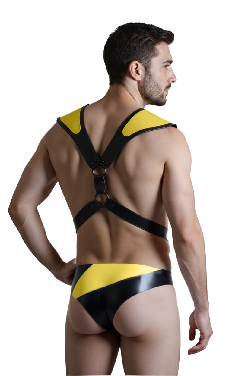 Mysteryglove Bold Two-Piece Set – RedAccented Harness and High-Cut Brief for Statement Styling