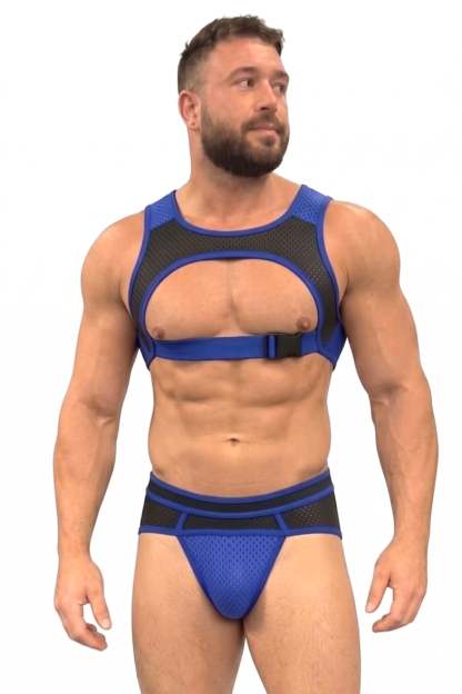 Mysteryglove Blue Mesh Open-Chest Harness Set with Matching Briefs