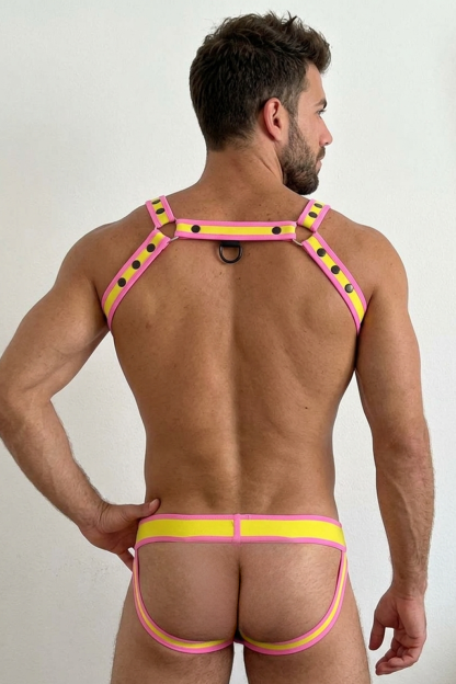 Mysteryglove Pink Yellow Harness Set with Studded Strap Design