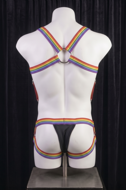 Mysteryglove Pride Rainbow Strap Harness Set — Chest D-Ring + Supportive Briefs