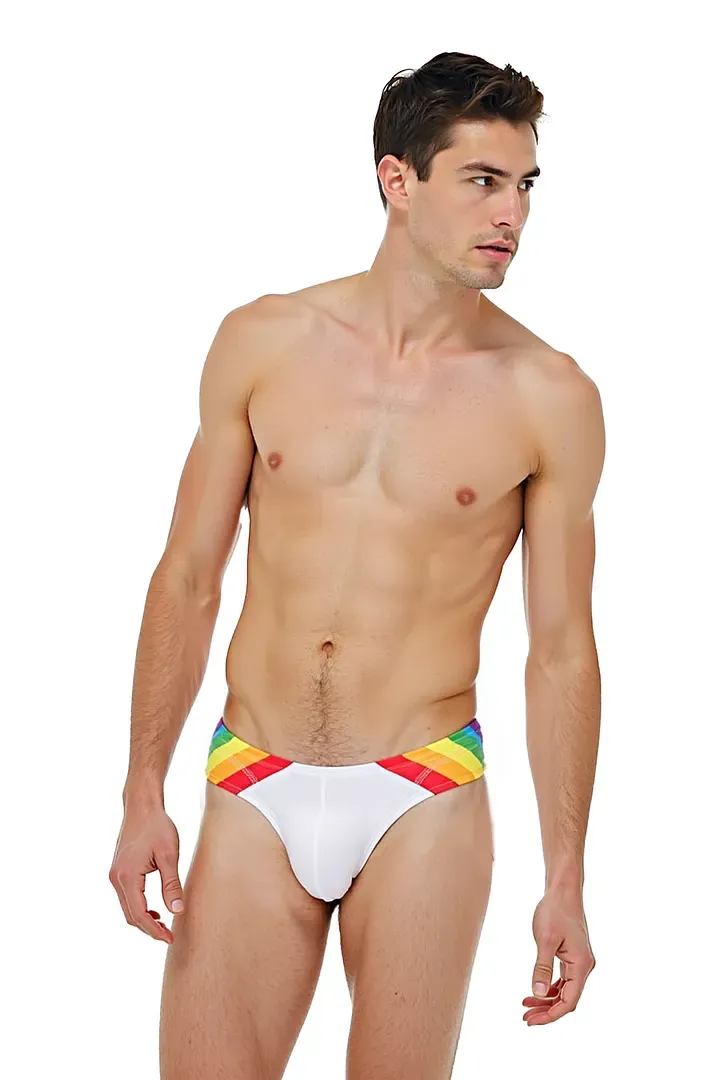 Mysteryglove Minimalist Pride Swim Briefs