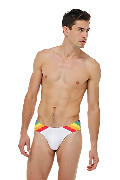 Mysteryglove Minimalist Pride Swim Briefs